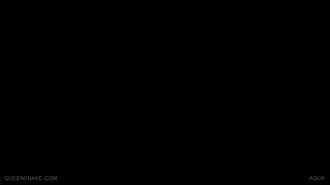 19909